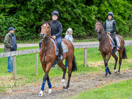 CH290522-24 - Charlie Hills Stable Visit